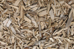 biomass boilers Fentonadle